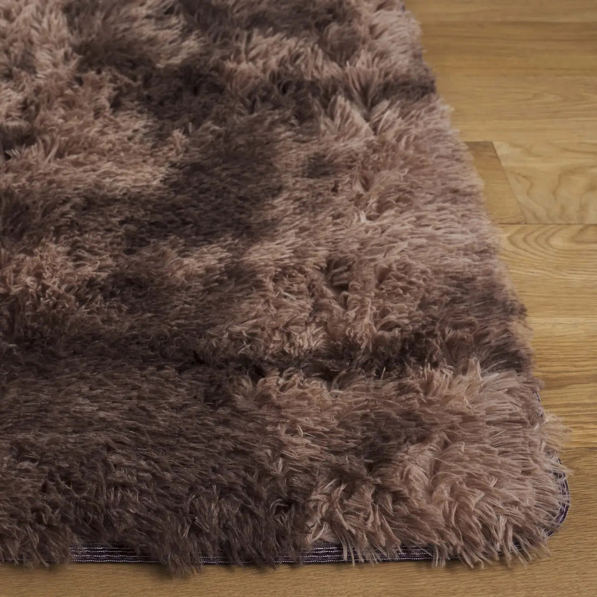 Safavieh Rainbow Shag 4'-0" x 6'-0" Rug in Brown