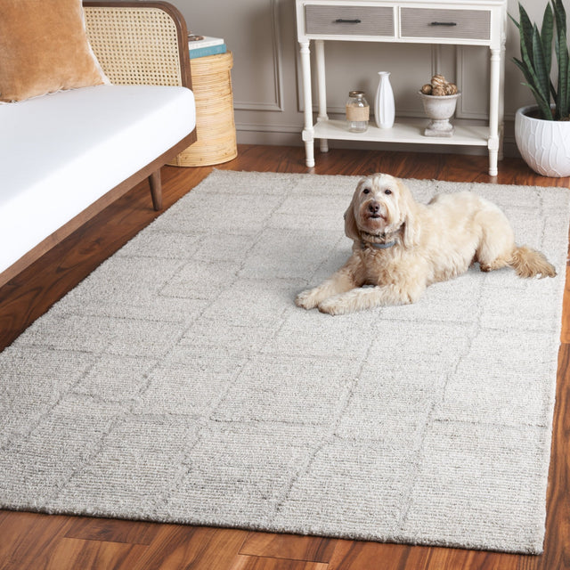 Safavieh Renewal Rnw201G Light Grey Rug.
