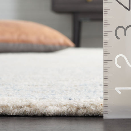 Safavieh Renewal Rnw203L Light Blue/Ivory Rug.