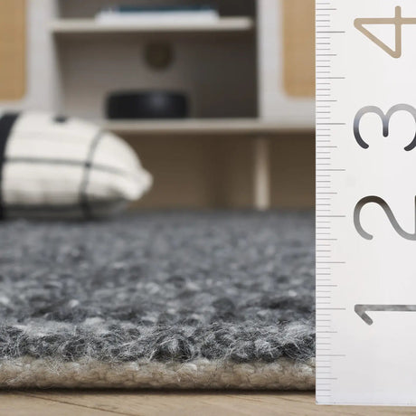 Safavieh Renewal 4'-0" x 6'-0" Rug in Charcoal