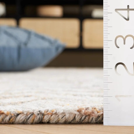 Safavieh Renewal 4'-0" x 6'-0" Rug in Beige / Grey