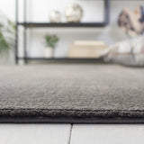 Safavieh Revive 4'-0" x 6'-0" Rug in Charcoal