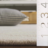 Safavieh Rodeo Drive 4'-0" x 6'-0" Rug in Ivory