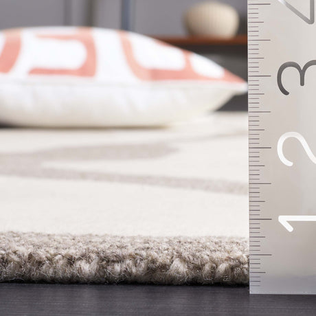 Safavieh Rodeo Rd404F Ivory/Grey Rug.
