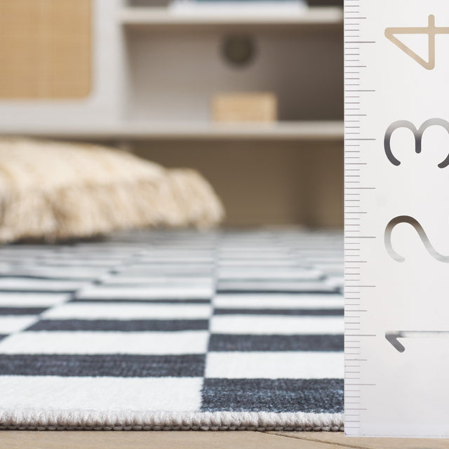 Safavieh Santa Clara Scl937A Ivory/Black Rug.