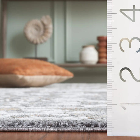 Safavieh Scarlett 400 4'-0" x 6'-0" Rug in Grey / Ivory Rust