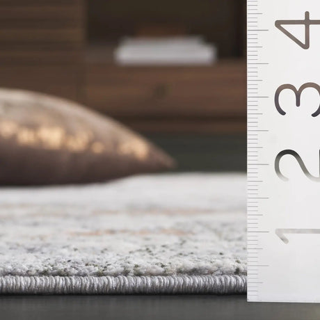 Safavieh Scarlett 400 4'-0" x 6'-0" Rug in Grey / Ivory Rust