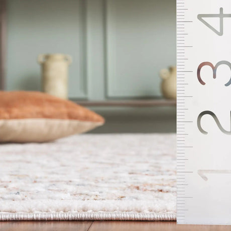 Safavieh Scarlett 400 4'-0" x 6'-0" Rug in Ivory / Beige Rust