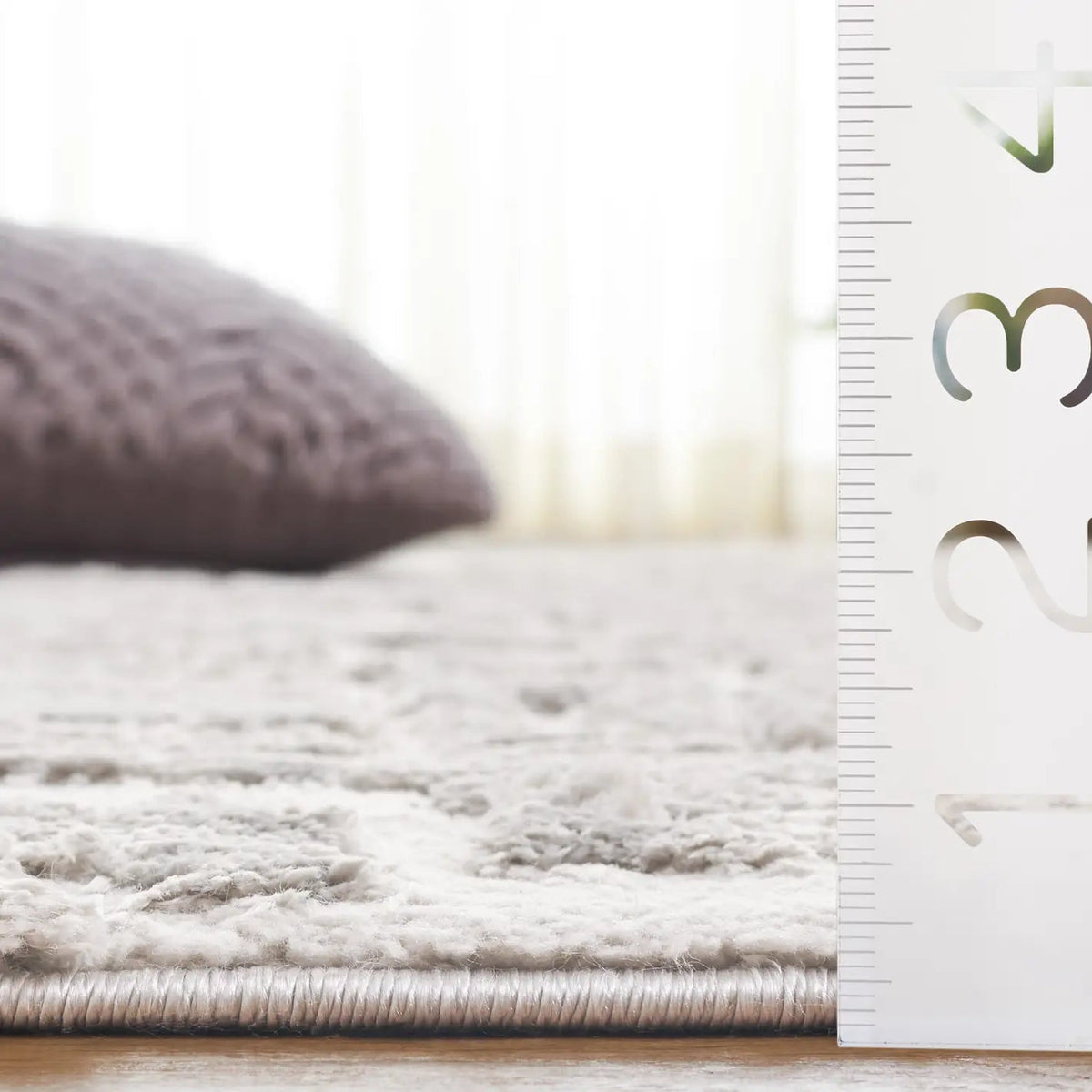 Safavieh Seattle Shag 900 4'-0" x 6'-0" Rug in Light Grey / Grey