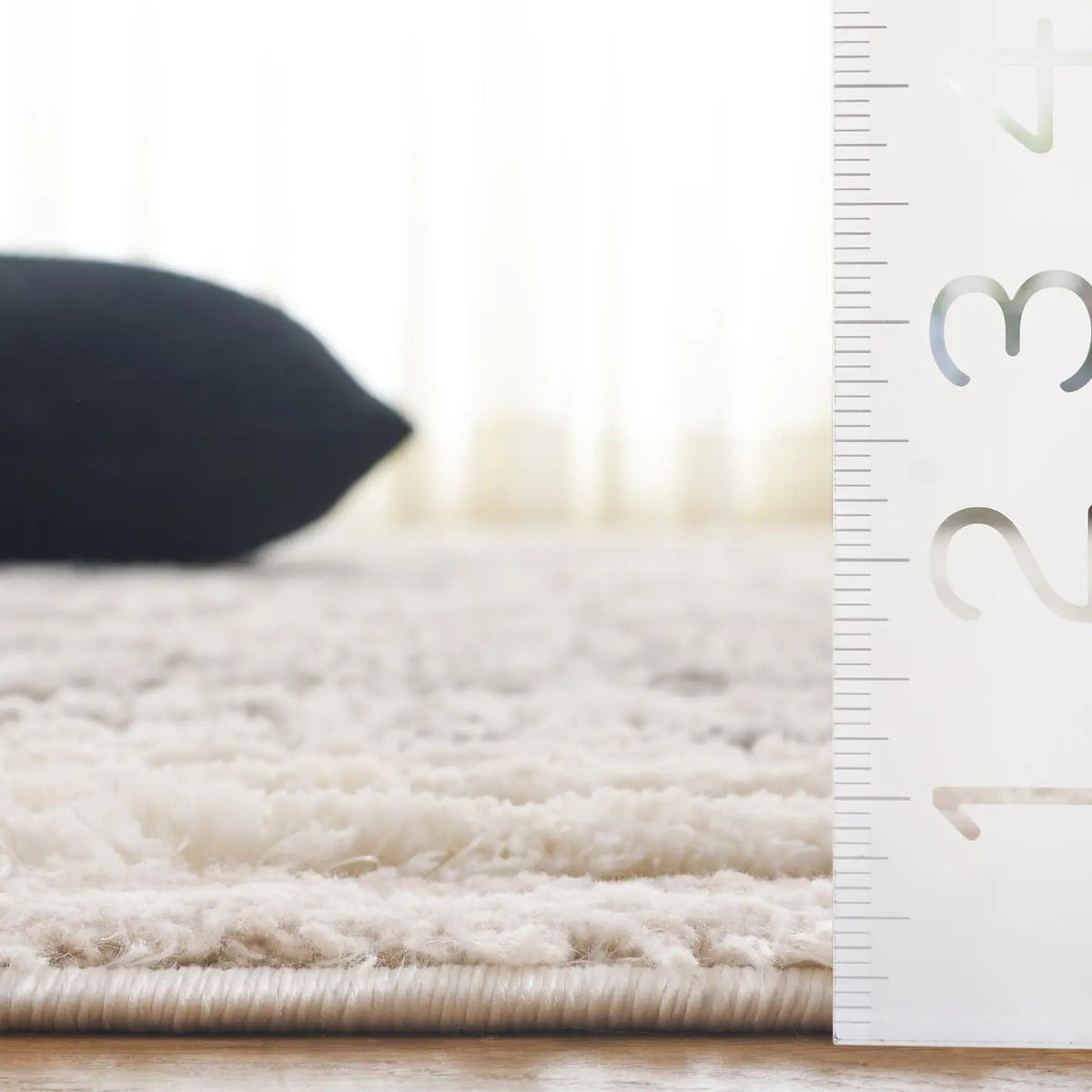 Safavieh Seattle Shag 900 4'-0" x 6'-0" Rug in Ivory / Grey