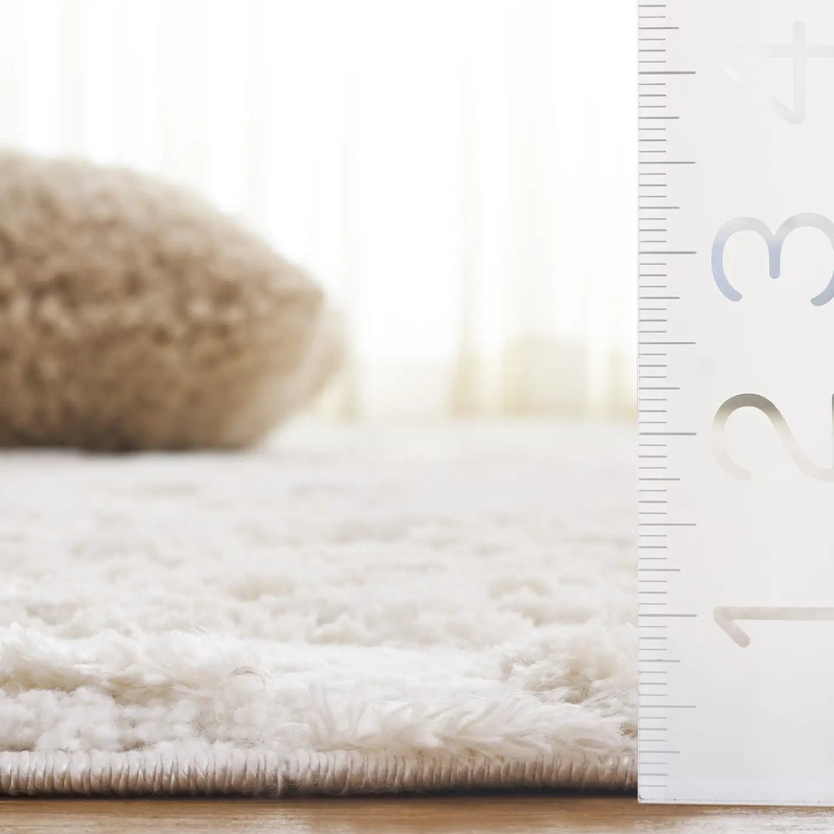 Safavieh Seattle Shag 900 4'-0" x 6'-0" Rug in Ivory