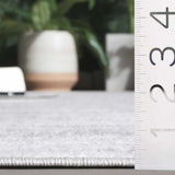 Safavieh Stella 4'-0" x 6'-0" Rug in Ivory / Grey