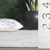 Safavieh Stella 4'-0" x 6'-0" Rug in Ivory