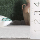 Safavieh Stella 4'-0" x 6'-0" Rug in Ivory