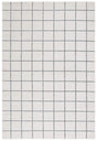 Safavieh Stella 4'-0" x 6'-0" Rug in Ivory / Grey