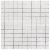 Safavieh Stella 6'-7" x 6'-7" Rug in Ivory / Grey