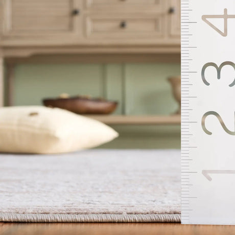 Safavieh Sydney 4'-0" x 6'-0" Rug in Beige / Brown Ivory