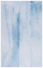 Safavieh Tacoma 4'-0" x 6'-0" Rug in Ivory / Blue