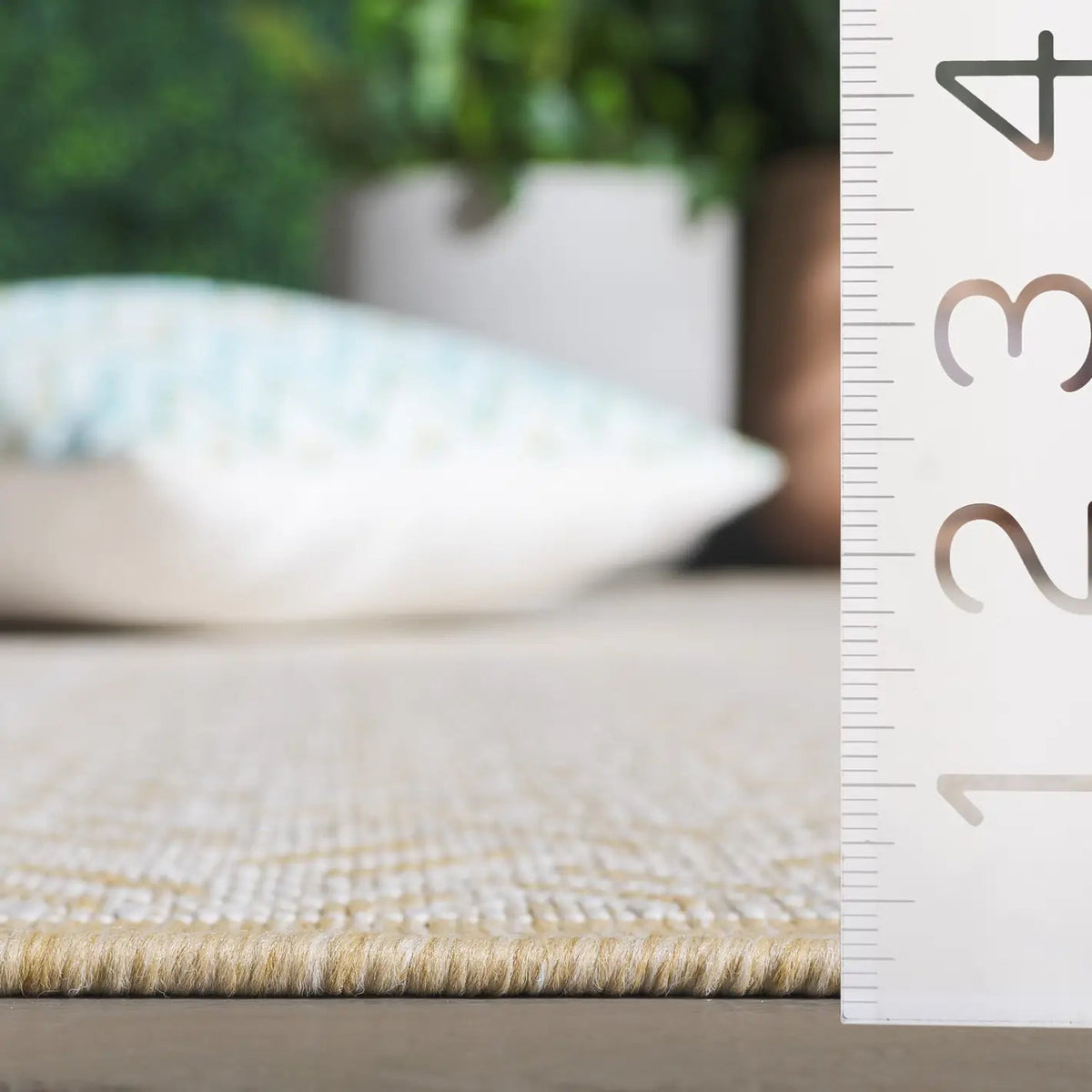 Safavieh Terrace 800 4'-0" x 6'-0" Rug in Beige / Ivory