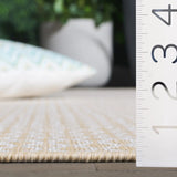 Safavieh Terrace 800 4'-0" x 6'-0" Rug in Beige / Ivory