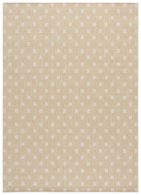 Safavieh Terrace 800 4'-0" x 6'-0" Rug in Beige / Ivory