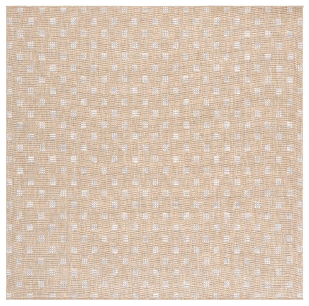 Safavieh Terrace 800 6'-7" x 6'-7" Rug in Beige / Ivory
