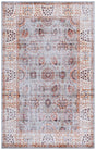Safavieh Tucson 4'-0" x 6'-0" Rug in Grey Green / Beige