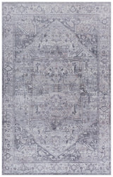 Safavieh Tucson 4'-0" x 6'-0" Rug in Grey / Light Grey
