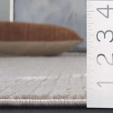 Safavieh Whisper 4'-0" x 6'-0" Rug in Beige / Ivory