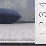 Safavieh Whisper 4'-0" x 6'-0" Rug in Grey / Ivory