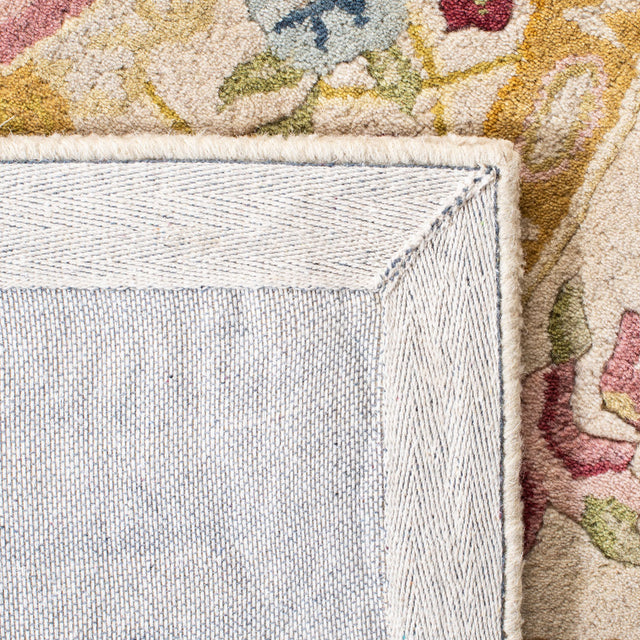 Safavieh Savonnerie sav202a Sage / Beige Rugs