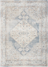 Nourison Astra Machine Washable Asw11 Light Blue Area Rug