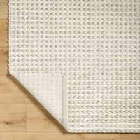 Surya Sundance Sdc-2303 Light Silver, Ash, Slate Grey Taupe, Pearl Area Rug