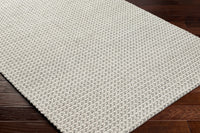 Surya Sundance Sdc-2304 Sterling Grey, Light Silver, Light Grey, Silver, Pewter Area Rug