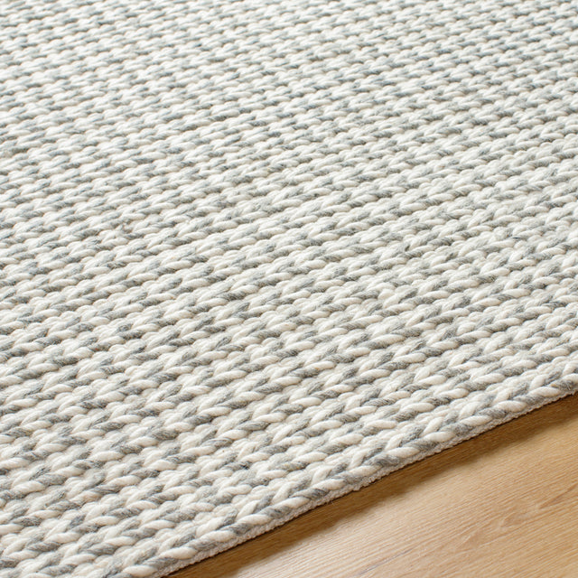 Surya Sundance Sdc-2304 Ivory, Gray Rug.