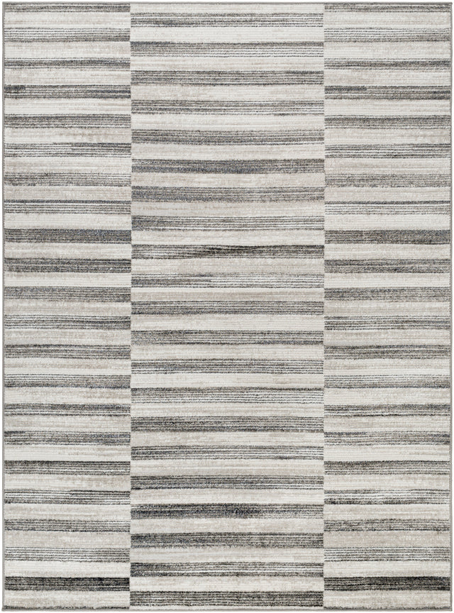 Surya San Francisco Sfo-2319 Ivory, Light Gray, Black, Light Slate, Charcoal Rug.