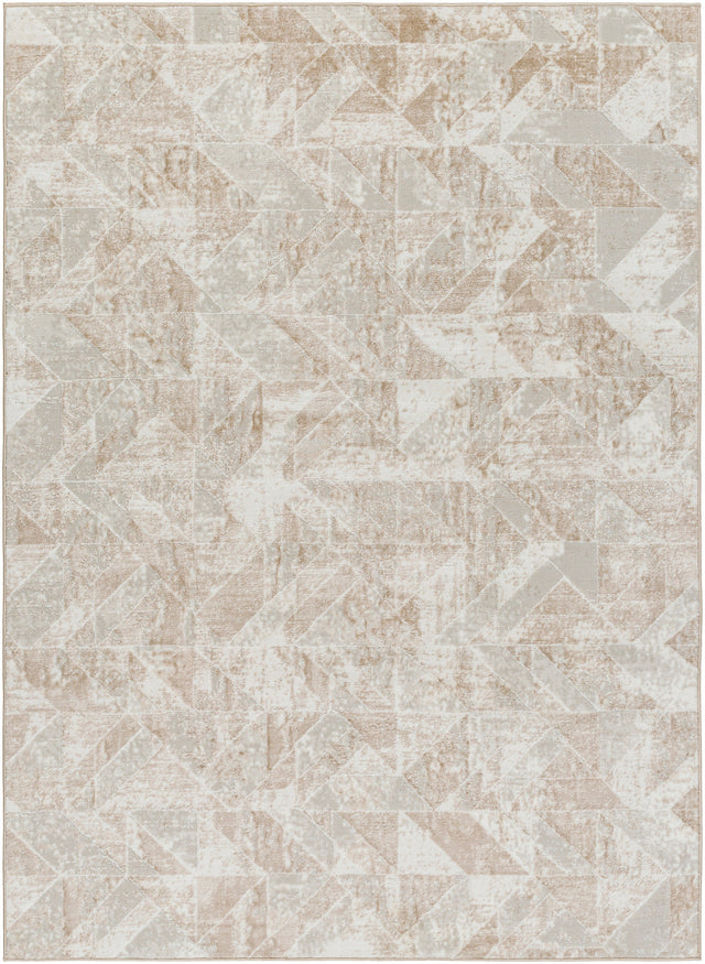 Surya San Francisco Sfo-2323 Ash, Light Grey Rug.