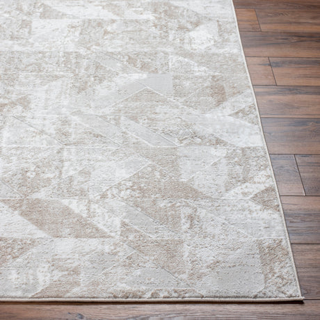 Surya San Francisco Sfo-2323 Ash, Light Grey Rug.