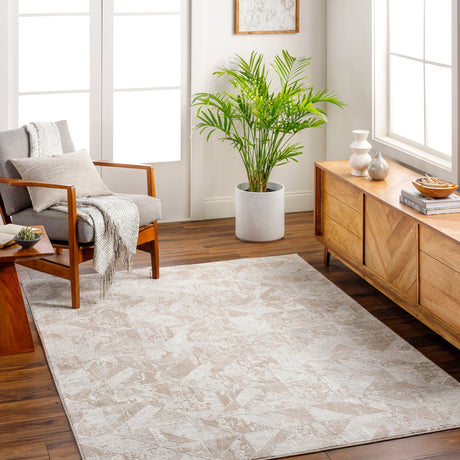 Surya San Francisco Sfo-2323 Ash, Light Grey Rug.