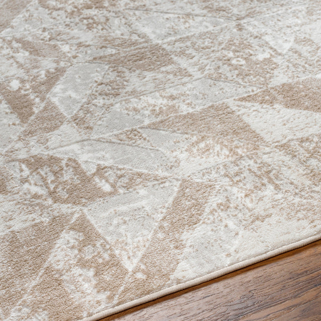 Surya San Francisco Sfo-2323 Ash, Light Grey Rug.