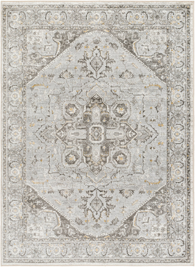 Surya San Francisco Sfo-2327 Light Gray, Ivory, Charcoal, Tan, Slate, Light Slate Rug.