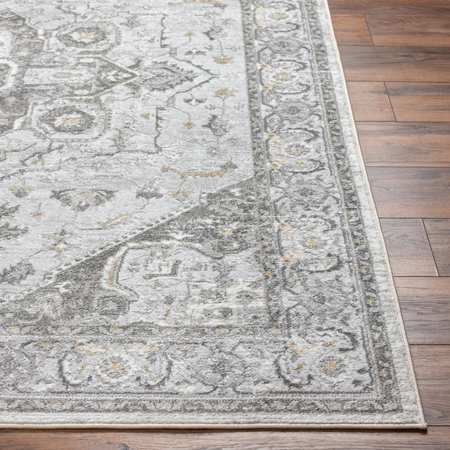 Surya San Francisco Sfo-2327 Light Gray, Ivory, Charcoal, Tan, Slate, Light Slate Rug.
