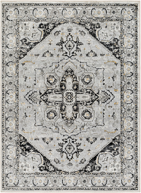 Surya San Francisco Sfo-2328 Light Gray, Charcoal, Ivory, Black, Tan, Slate Rug.