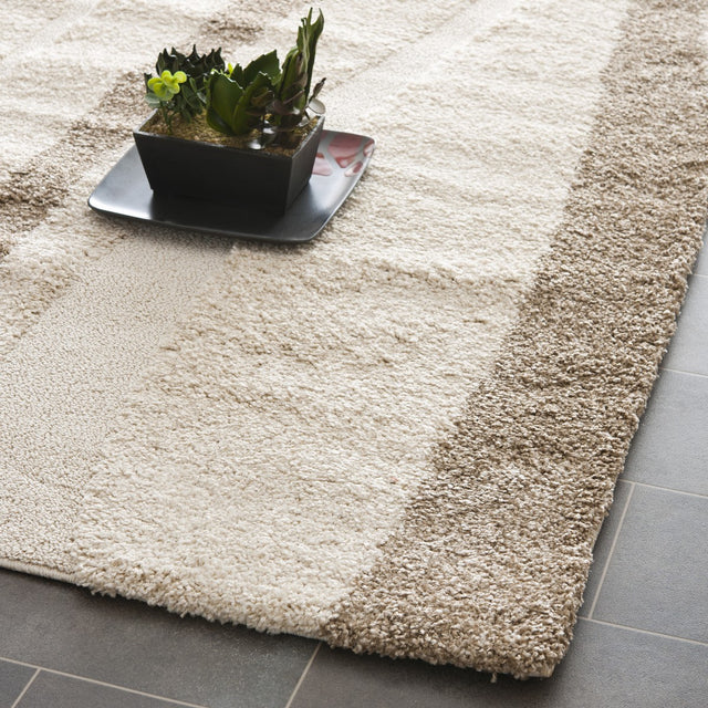 Safavieh Florida Shag Sg451-1128 Cream / Dark Brown Rugs