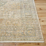 Surya Renaissance BORI-2300 Light Beige, Taupe, Dark Brown, Tan