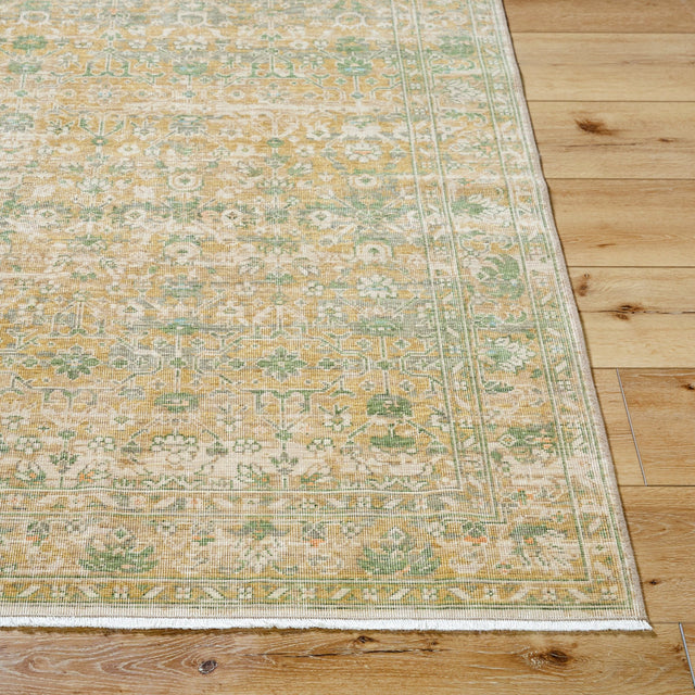 Surya Renaissance BORI-2306 Light Beige, Taupe, Tan, Olive
