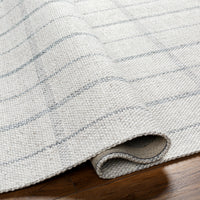 Surya Tartan Tar-2304 Oatmeal, Slate Area Rug