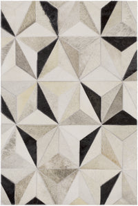 Surya Trail Trl-1128 Charcoal, Gray, Taupe Rug