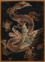 United Weavers Legends Dragon Luck Multi Rug - front view