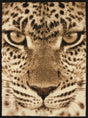 United Weavers Legends Leopard Face Multi Rug - front view